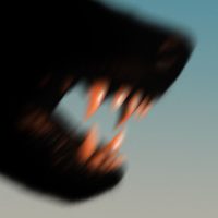 Checco Curci – L’Amore Non Ha Cuore