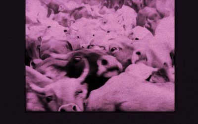 Tanca Fest: dal 17 al 19 aprile a Bologna la prima edizione del festival di Tanca Records